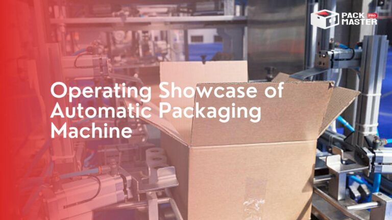 Product Testing Demonstration: Operating Showcase of Automatic Packaging Machine